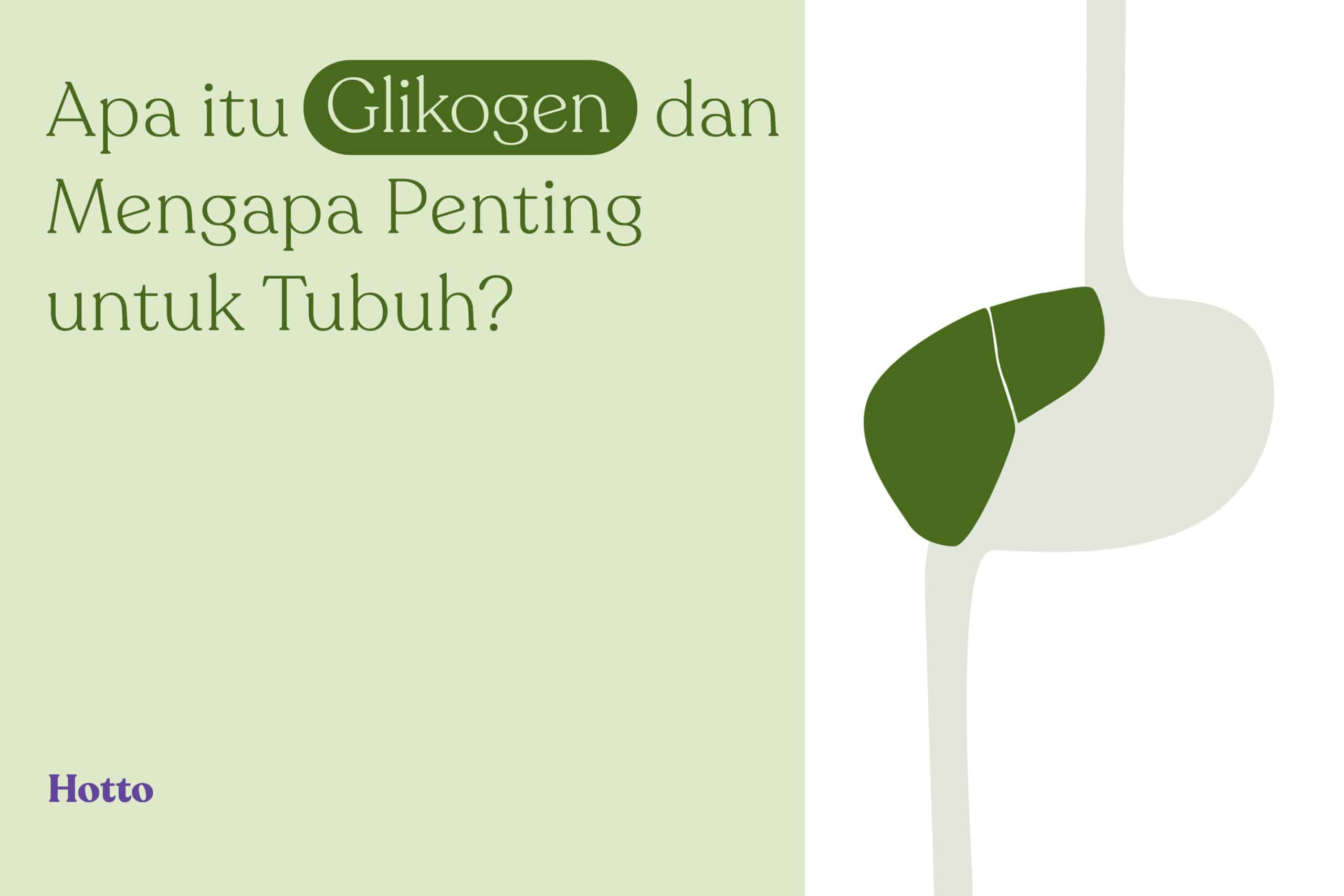 Apa itu Glikogen dan Mengapa Penting untuk Tubuh