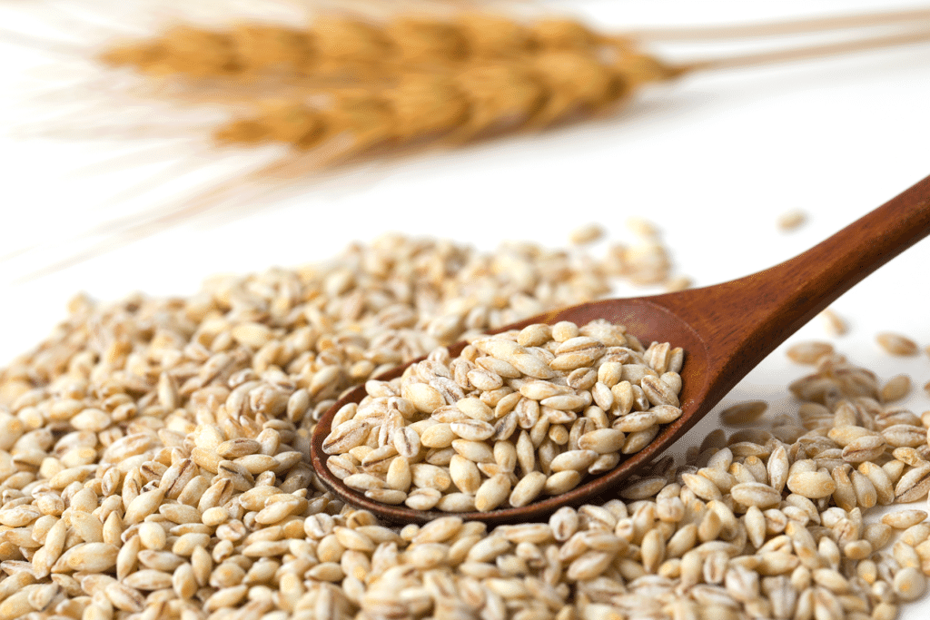Barley dan Kandungannya