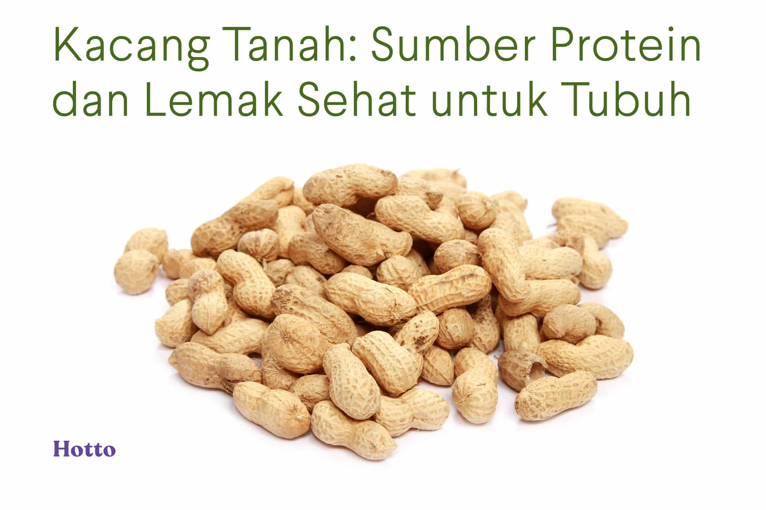 Kacang Tanah Sumber Protein dan Lemak Sehat untuk Tubuh Anda