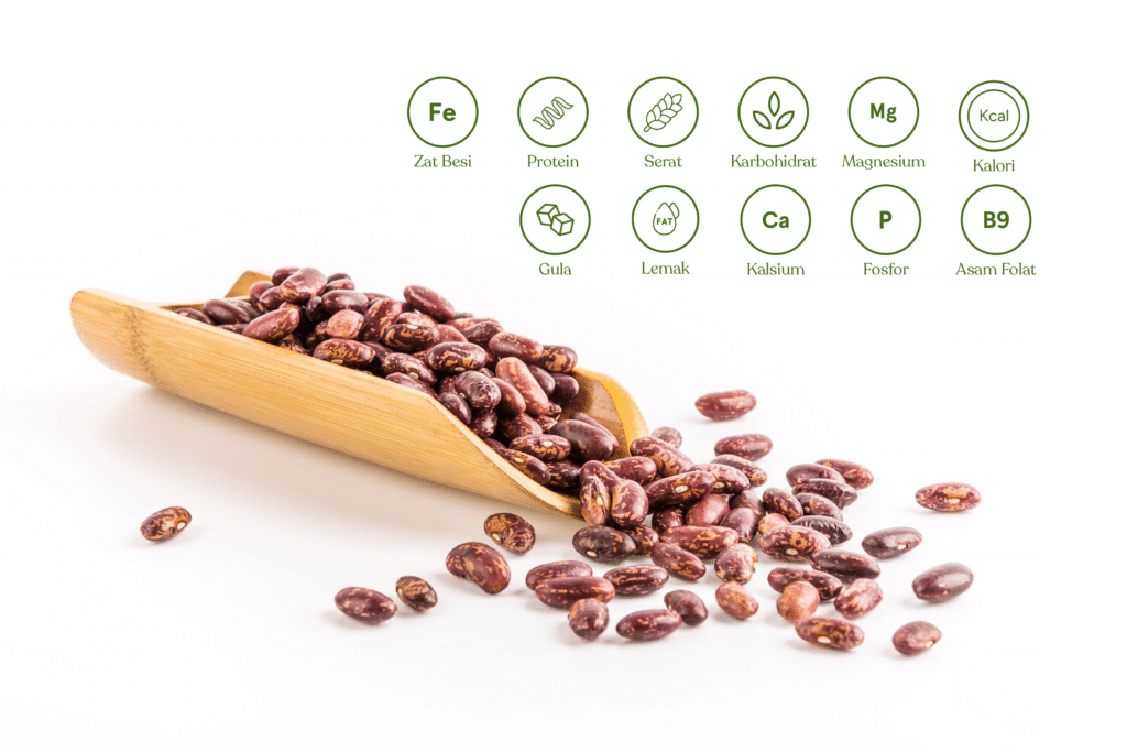 Kandungan Nutrisi Kacang Merah