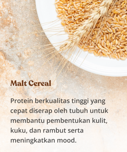 Malt 1