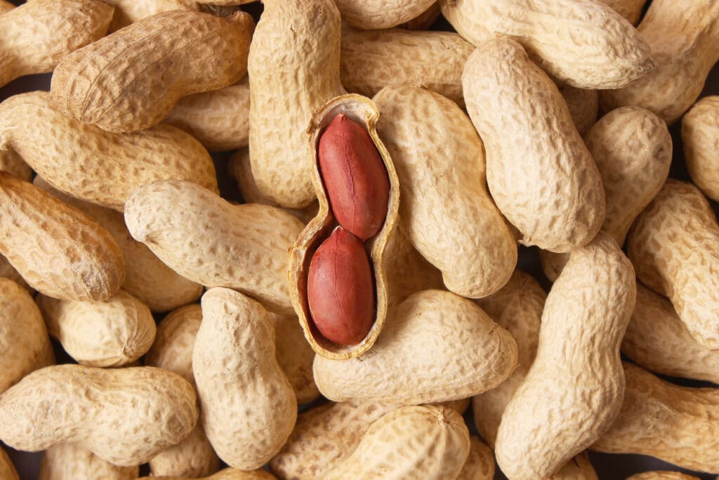 Manfaat Kacang Tanah bagi Kesehatan