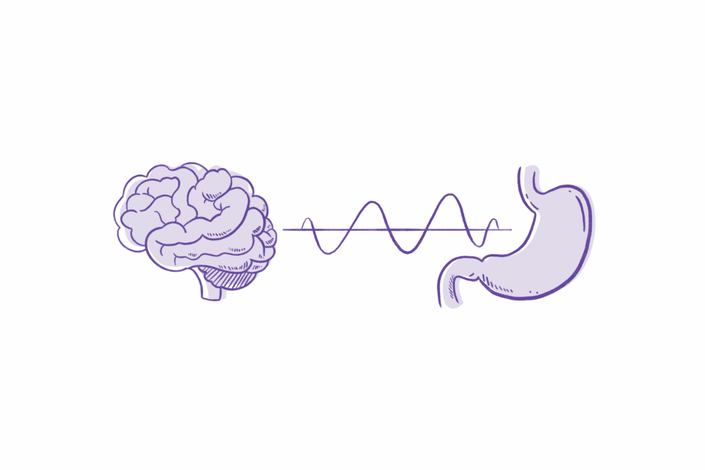Kenapa Serat Bisa Bikin Kenyang Lebih Lama? Ini Penjelasannya 2 Mengirimkan Sinyal Kenyang ke Otak