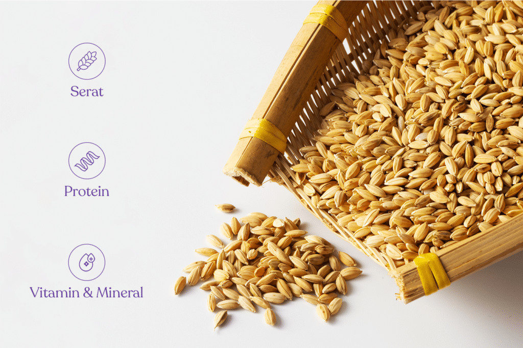 Nutrisi Barley