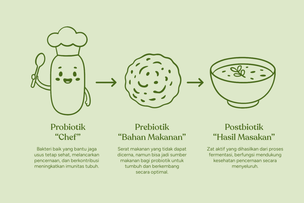 Rahasia Usus sehat dengan Probiotik, Prebiotik, dan Postbiotik 2 Pengertian Probiotik